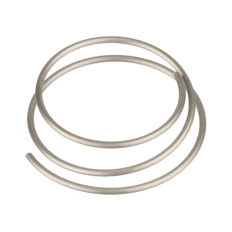 Dt-swiss DT Swiss Feder Für Zahnscheibe EXP, 1 Stk 4 Dt-swiss DT Swiss Feder Für Zahnscheibe EXP, 1 Stk – Bild 2