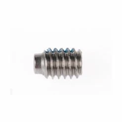 FOX Screw#8-32 X 0.250 TLG 303 SS Socket Set Half Dog Point