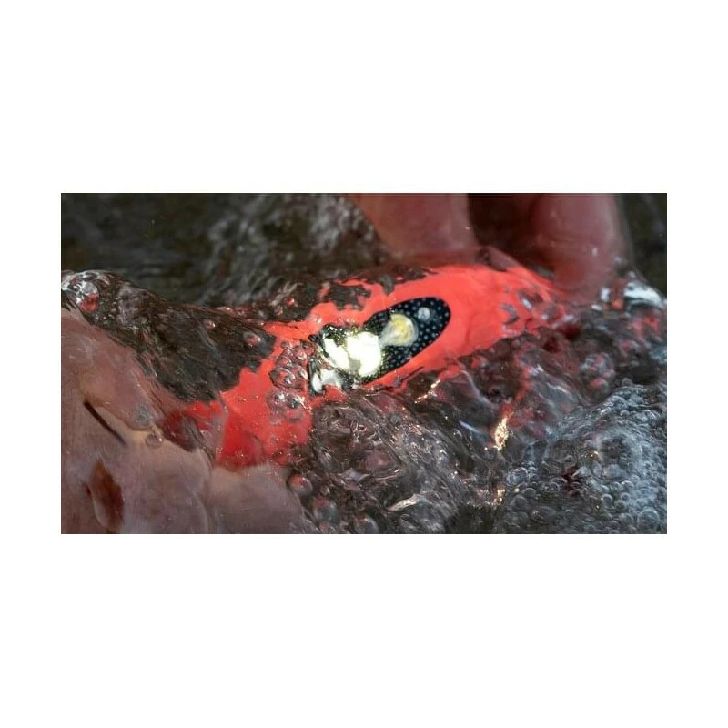 Knog Stirnlampe Bilby Black 4 Knog Stirnlampe Bilby Black – Bild 2