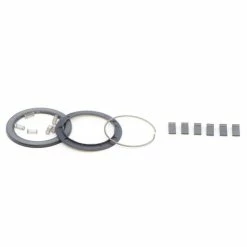 Spring And Pawl Set For Zipp ZR1 Hubs