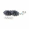 Sram Rear Derailleur Pulleys NX/Apex1 11SP -Fahrradladen sram rear derailleur pulleys nx apex1 11sp
