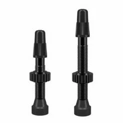 WTB TCS AL Black Presta Valve 46mm 2 Pcs